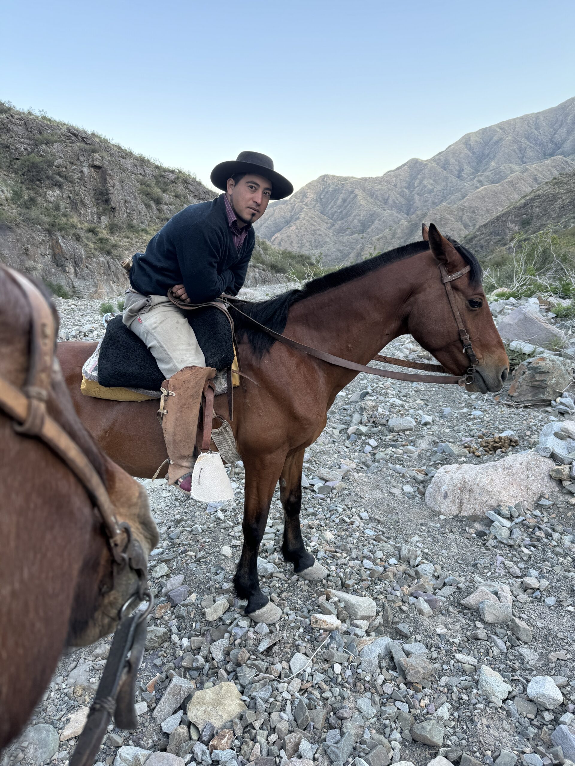 Argentina: Jacaranda Skies, Gaucho Trails, and One Unexpected ER Visit