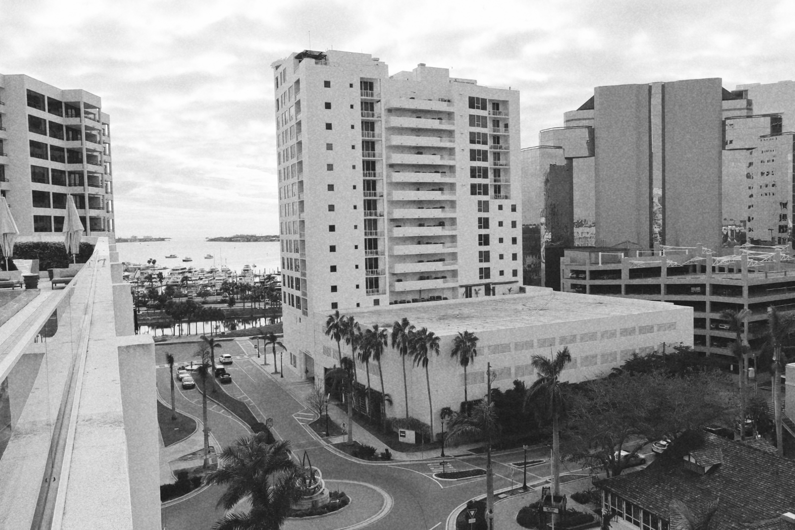 A Year in Sarasota
